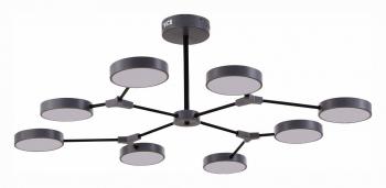 Люстра на штанге EVOLUCE Monta SLE6003-702-08 Люстра на штанге EVOLUCE Monta SLE6003-702-08