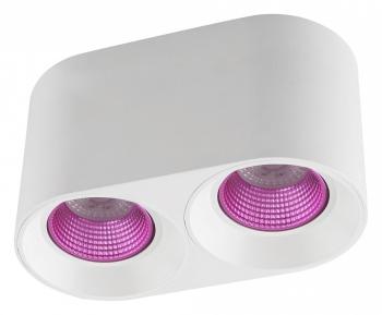 Накладной светильник Denkirs DK3020WPI DK3096-WH+PI Накладной светильник Denkirs DK3020WPI DK3096-WH+PI