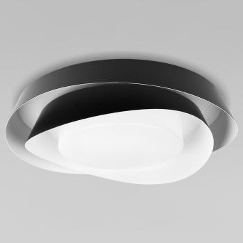 Накладной светильник Loft it Petale 10256 Black Накладной светильник Loft it Petale 10256 Black