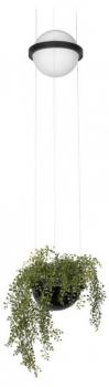 Подвесной светильник Loft it Jardin 10121/B Подвесной светильник Loft it Jardin 10121/B