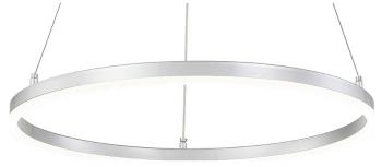 Подвесной светильник Escada Void 10254/1LED Silver APP