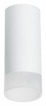 Накладной светильник Lightstar Rullo R648681