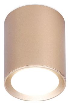 Накладной светильник Ambrella Light TN TN216 Накладной светильник Ambrella Light TN TN216