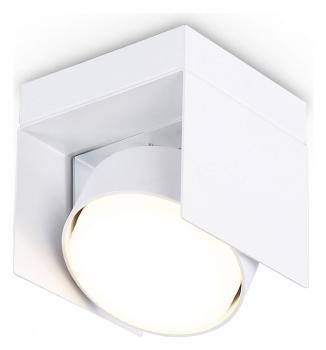 Накладной светильник Ambrella Light TN TN70841 Накладной светильник Ambrella Light TN TN70841