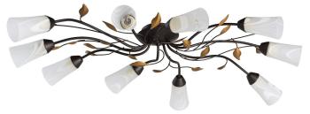 Потолочная люстра MW-Light Восторг 15 242015410