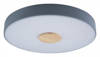 Накладной светильник Loft it Axel 2 10003/24 Grey Накладной светильник Loft it Axel 2 10003/24 Grey