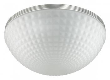Накладной светильник Odeon Light Pirsa 4937/4C