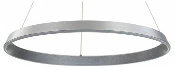 Подвесной светильник Indigo Orta 14019/1P Silver Подвесной светильник Indigo Orta 14019/1P Silver