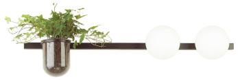 Бра Odeon Light Flower 4681/2W Бра Odeon Light Flower 4681/2W