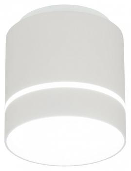 Накладной светильник Citilux Борн CL745020N