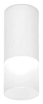 Накладной светильник Ambrella Light TN TN230 Накладной светильник Ambrella Light TN TN230