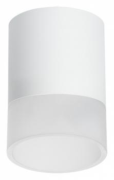 Накладной светильник Lightstar Rullo R348681