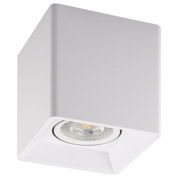 Накладной светильник Denkirs DK3020WW DK3030-WH Накладной светильник Denkirs DK3020WW DK3030-WH