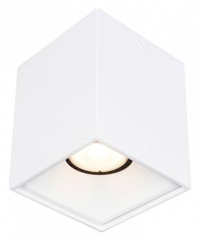 Накладной светильник ST-Luce ST168 ST168.502.01