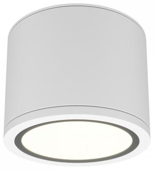 Накладной светильник Maytoni Rendo C095CL-GX53-W