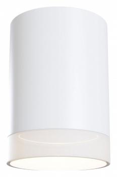 Накладной светильник Maytoni Pauline C008CW-01W