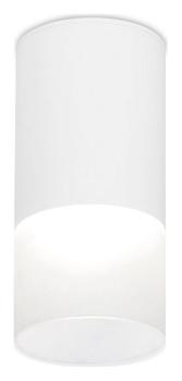 Накладной светильник Ambrella Light TN TN231 Накладной светильник Ambrella Light TN TN231