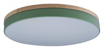 Накладной светильник Loft it Axel 10001/36 Green Накладной светильник Loft it Axel 10001/36 Green