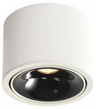 Накладной светильник Wertmark WTA.O06 WTA.O06.067.30.12