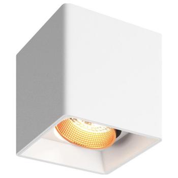 Накладной светильник Denkirs DK3020WW DK3080-WBR Накладной светильник Denkirs DK3020WW DK3080-WBR