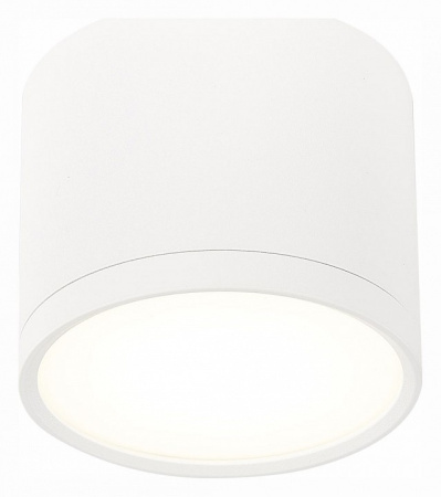 Фото Накладной светильник ST-Luce Rene ST113.542.09