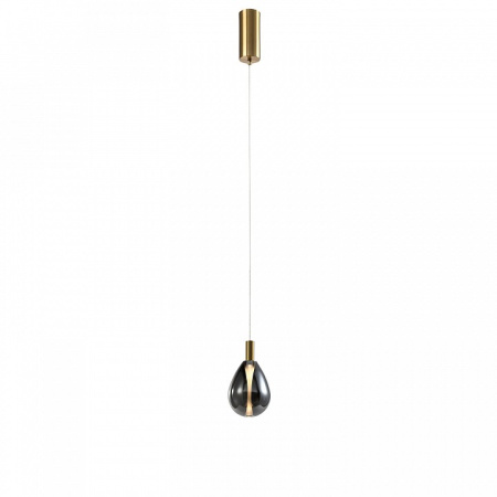 Фото Подвесной светильник Favourite Hopper 4255-1P