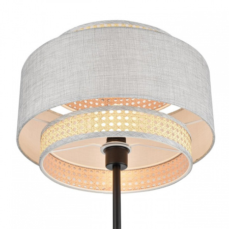 Фото Торшер Lumion Launa 8043/1F