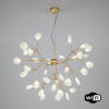 Фото Подвесная люстра Bogate's Foglia 342 Smart