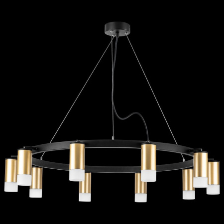 Фото Подвесная люстра Lightstar Rullo LR0204001