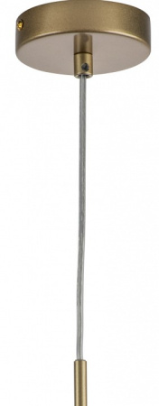 Фото Подвесной светильник Lightstar Ramo 690013