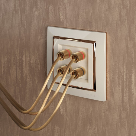 Фото Розетка акустическая без рамки Werkel слоновая кость W1185003