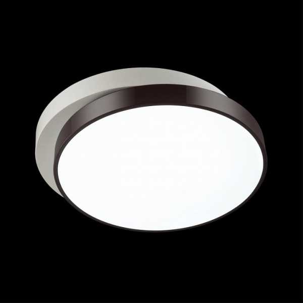 Фото Накладной светильник Lumion Agatha 4509/72CL
