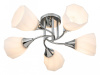 Фото Потолочная люстра Escada Camellia 664/5P