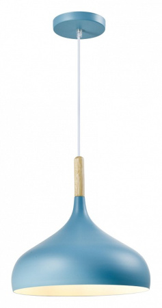 Фото Подвесной светильник Moderli Eline V1295-1P