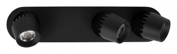Фото Накладной светильник Loft it Quiet 10320/3 Black