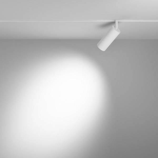 Фото Светильник на штанге Maytoni Focus LED TR032-4-12WTW-S-DD-W