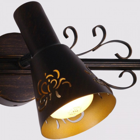 Фото Спот Citilux Дункан CL529531