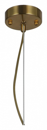 Фото Подвесной светильник Favourite Wonderland 2907-1P