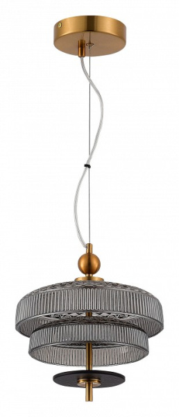 Фото Подвесной светильник ST-Luce Oriental SL6122.303.01