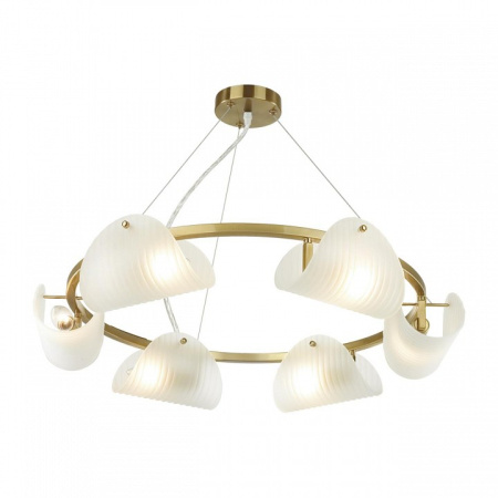 Фото Подвесная люстра Lumion Fioro 6571/6