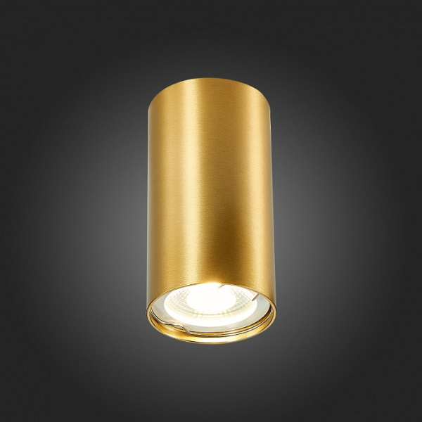 Фото Накладной светильник ST-Luce ST110 ST110.207.01