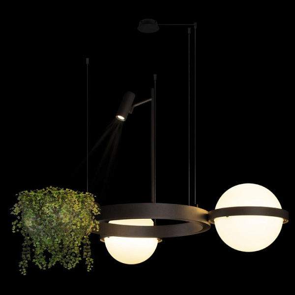 Фото Подвесная люстра Loft it Jardin 10121/2 Dark grey