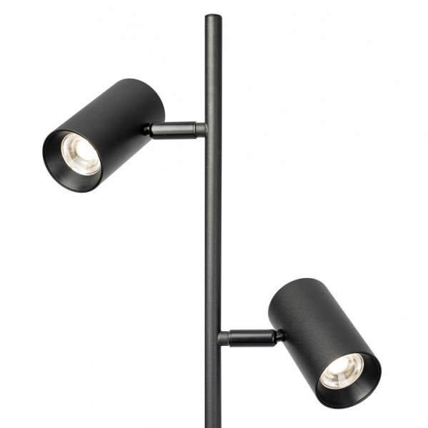 Фото Торшер Citilux Twin CL809011N