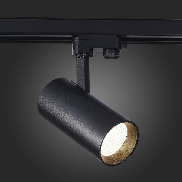 Фото Светильник на штанге ST-Luce ST661 ST661.436.30