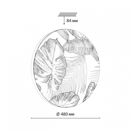 Открыть Накладной светильник Sonex Flori 7748/EL Фото Накладной светильник Sonex Flori 7748/EL