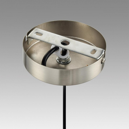 Фото Подвесной светильник Lumion Indira 8040/3