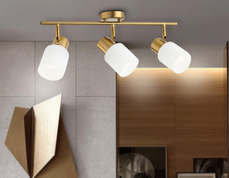 Фото Спот Ambrella Light TR TR3972