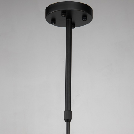 Фото Подвесная люстра Favourite Recens 2626-8P