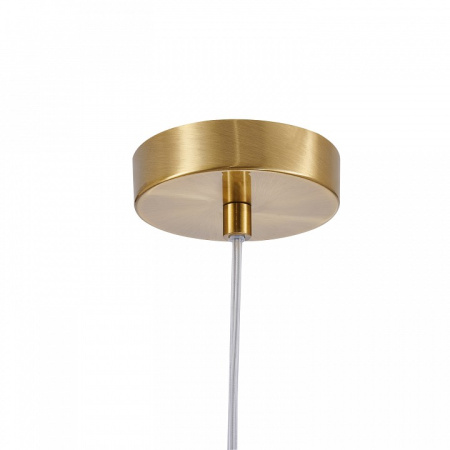 Фото Подвесной светильник Favourite Malinconia 4051-1P