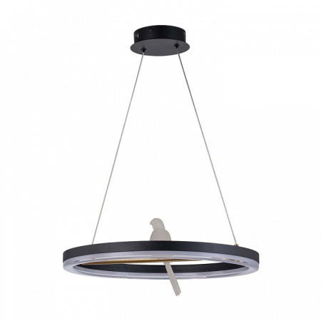 Фото Подвесной светильник F-promo Bardy 4654-1P